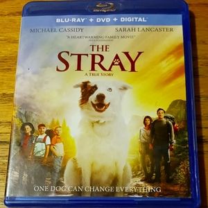 THE STRAY on BLU-RAY + DVD